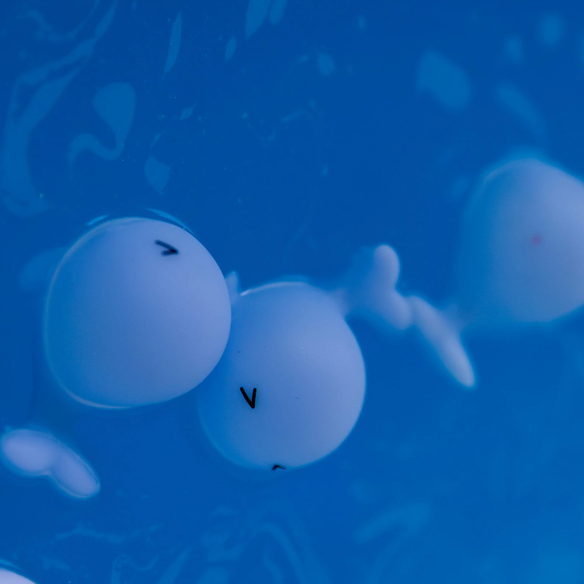 Бомба для ванны "На волне!" с игрушкой внутри 200 гр